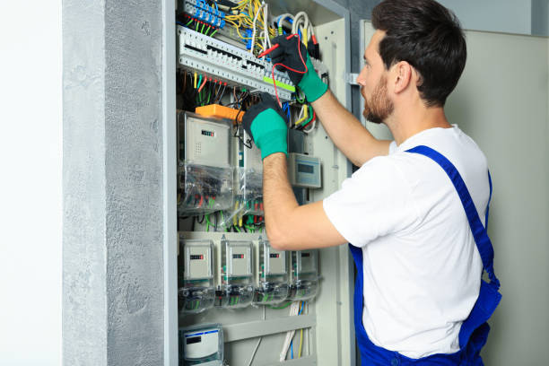 Best Electric Panel Repair  in Erma, NJ